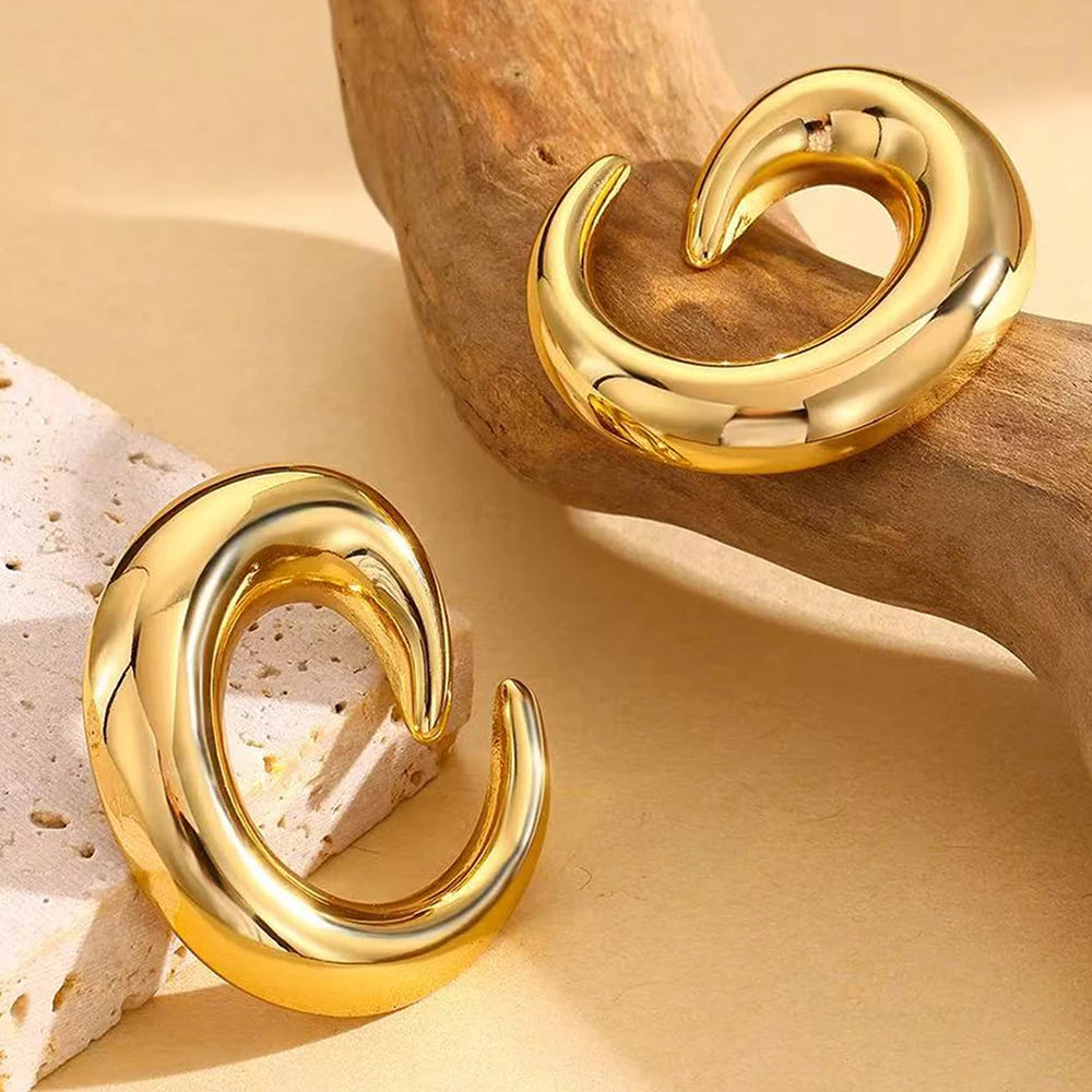 DGIDDK Stainless Steel Earrings Fashion Trend Geometric Earrings Niche Light Luxury for Women Daily Wear Accessories Gift