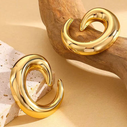 DGIDDK Stainless Steel Earrings Fashion Trend Geometric Earrings Niche Light Luxury for Women Daily Wear Accessories Gift
