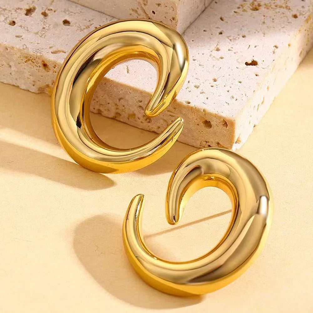 DGIDDK Stainless Steel Earrings Fashion Trend Geometric Earrings Niche Light Luxury for Women Daily Wear Accessories Gift