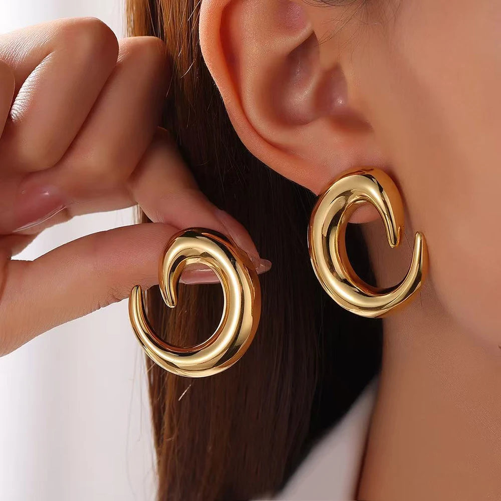 DGIDDK Stainless Steel Earrings Fashion Trend Geometric Earrings Niche Light Luxury for Women Daily Wear Accessories Gift